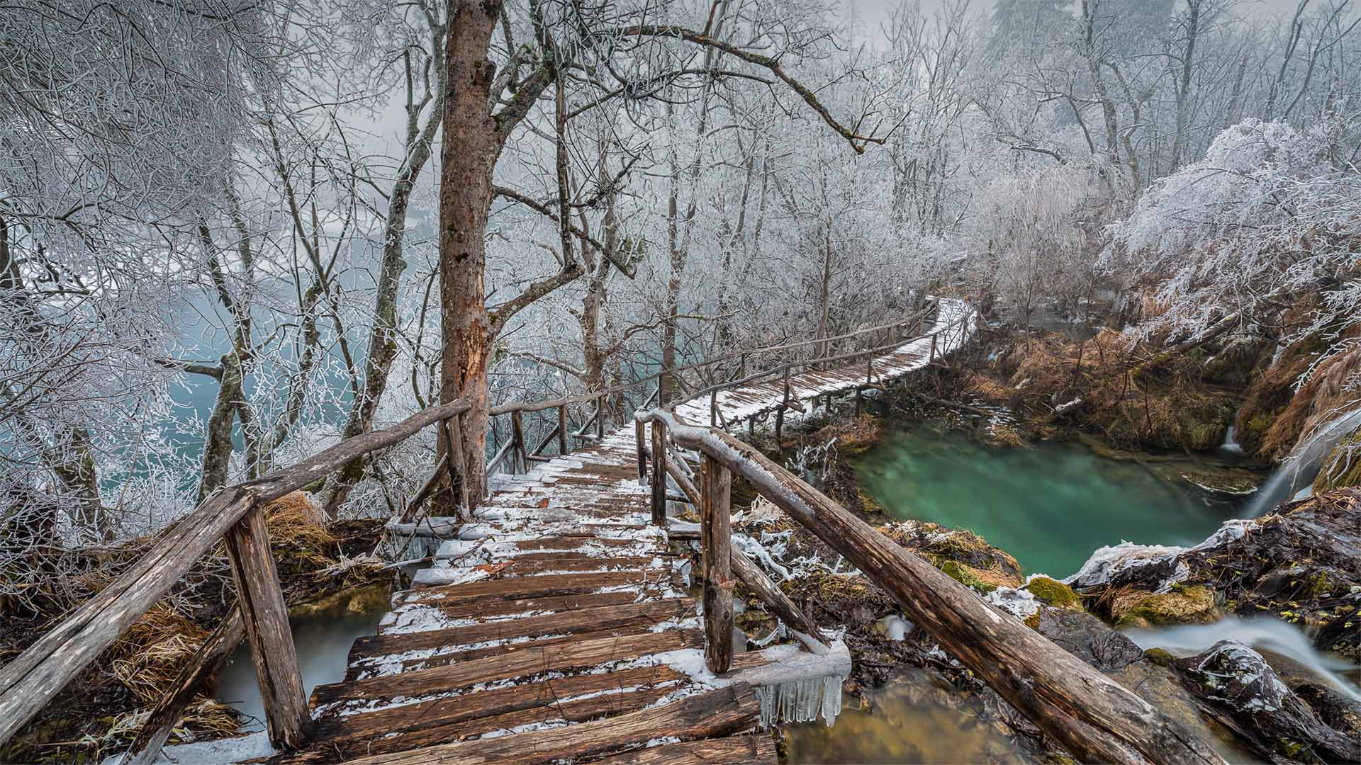 普利特维采湖群国家公园中的高架步道，克罗地亚
